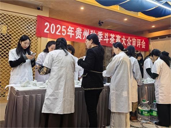 2025年貴州省秋季斗茶賽鳴鑼開賽，106只茶樣角逐“茶王”桂冠